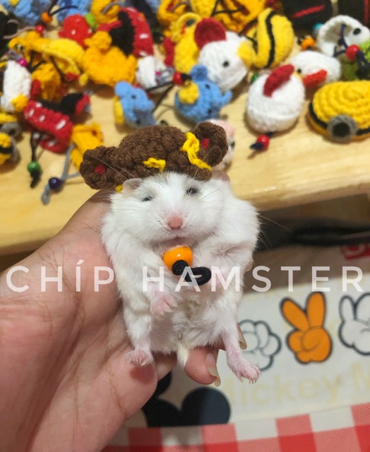 Nón len chụp ảnh ✨