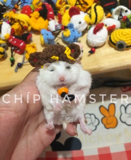 Nón len chụp ảnh ✨