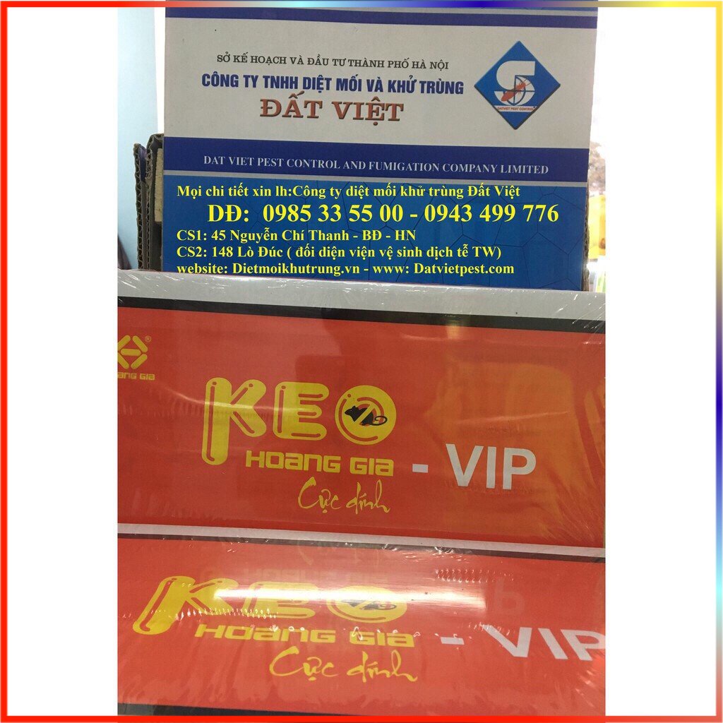 Combo 2 chiếc keo dính chuột bằng gỗ