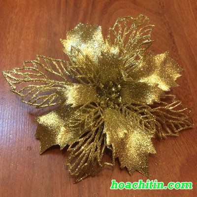 Hoa Trạng Nguyên Kim Tuyến trang trí noel giáng sinh