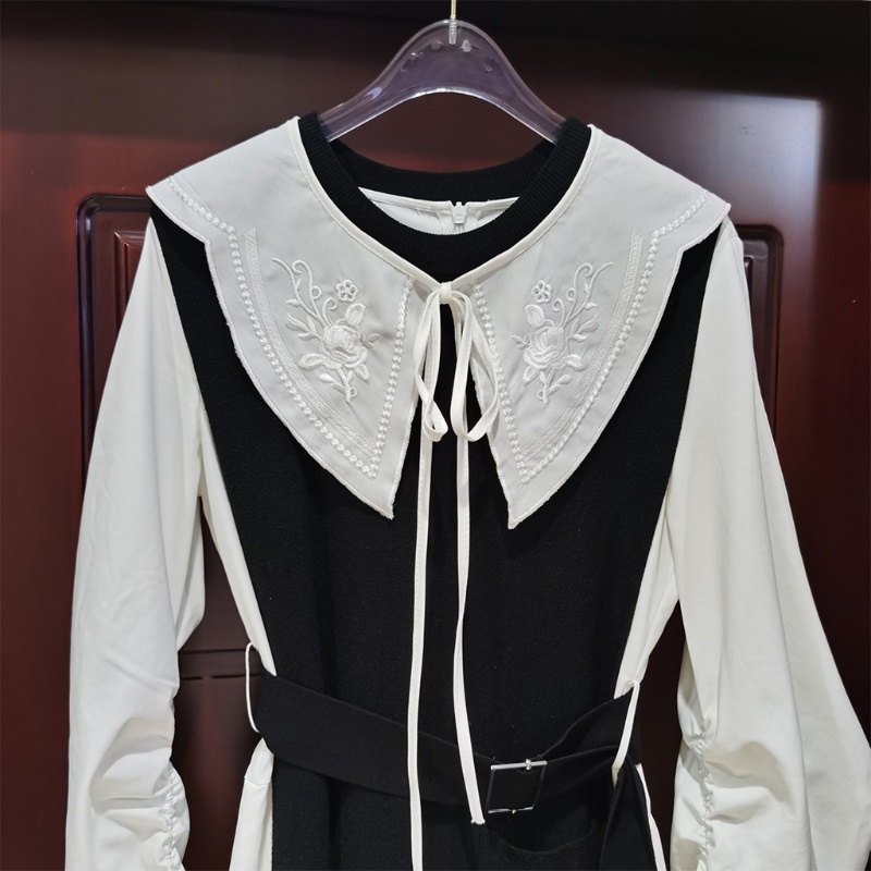 Cổ Áo Sơ Mi Giả Thêu Họa Tiết Thời Trang Mùa Hè Cho Nữ