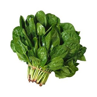 [RẺ VÔ ĐỊCH] Hạt giống Cải Bó Xôi (Rau Chân Vịt - Rau Bina) - 20 gram