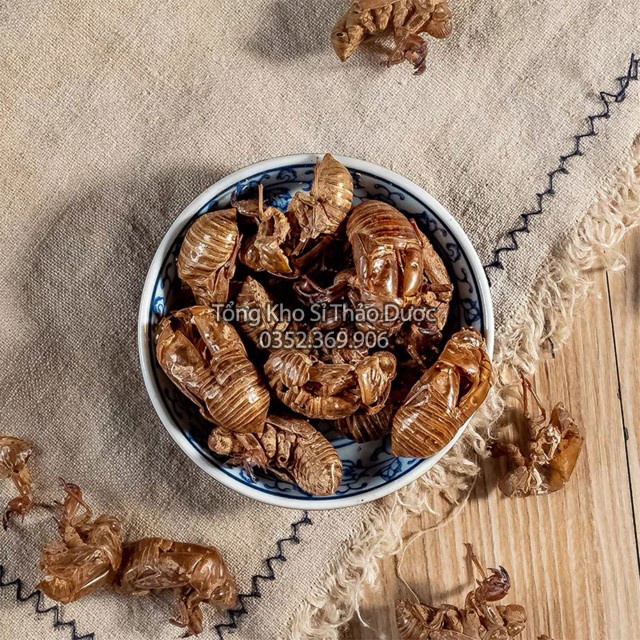 Xác Ve 500g (Thuyền Thoái, Trùng Thối)