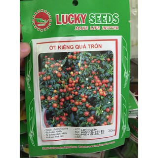 Hạt giống ớt kiểng, ớt cảnh, ớt trồng chậu quả tròn