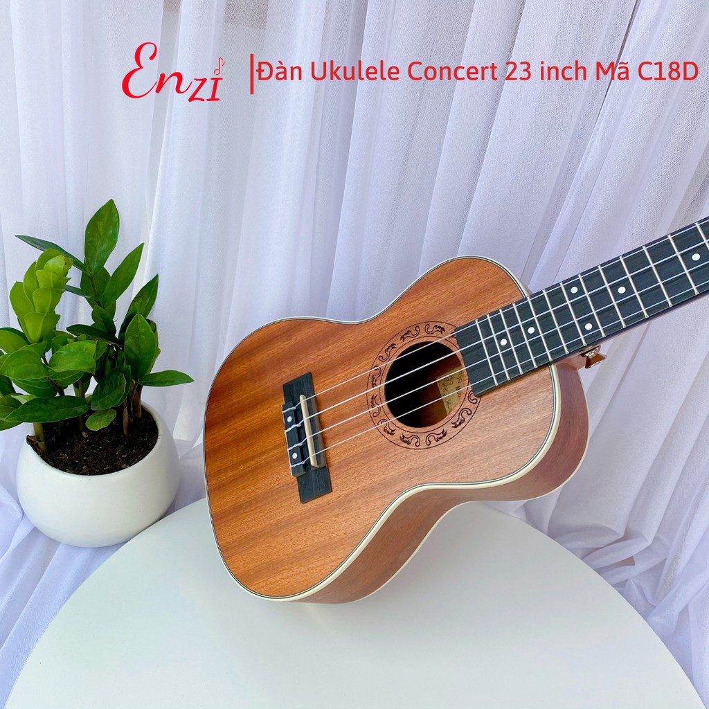 Đàn ukulele concert C18D Enzi 23 inch gỗ mộc viền tròn khóa đúc giá rẻ cho bạn mới bắt đầu tập chơi