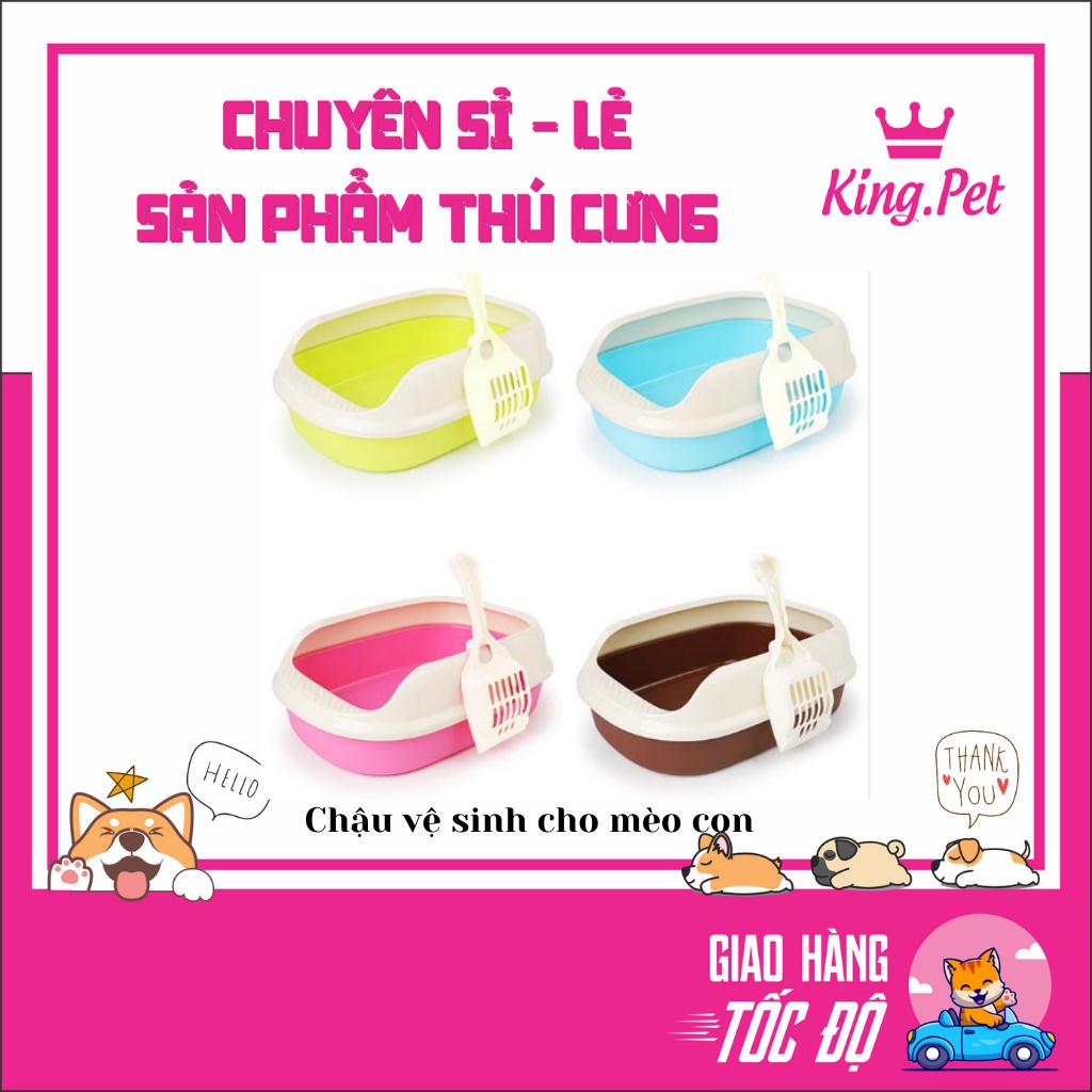 Khay vệ sinh cho mèo con - Tặng Kèm Xẻng
