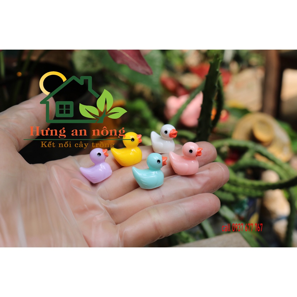 TT18 - SET 10 VỊT MINI phụ liệu trang trí tiểu cảnh sen đá xương rồng cây để bàn