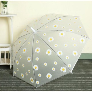 Ô Cán Dài In Họa Tiết Cúc Họa Mi