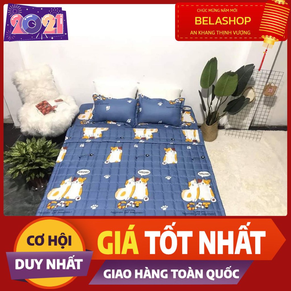 [Xả kho nghỉ bán]Chăn hè trần bông 3 lớp,mền trần bông hè thu,chát chọn mẫu,mèo xanh mới