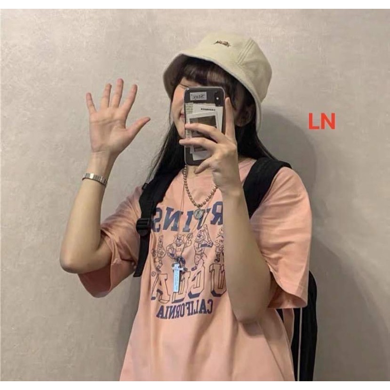 Áo phông 4 gấu BRUINS DA6