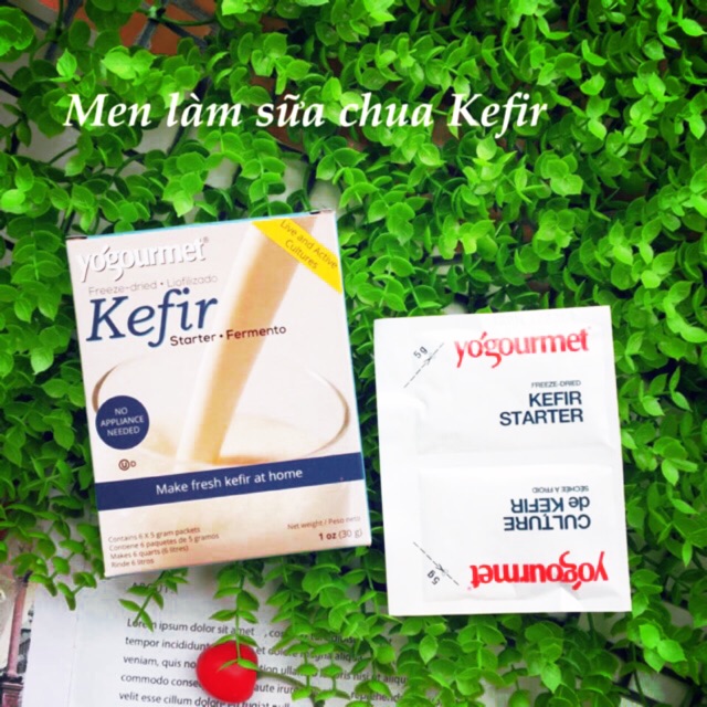 Men làm sữa chua Kefir (gói lẻ 5g)