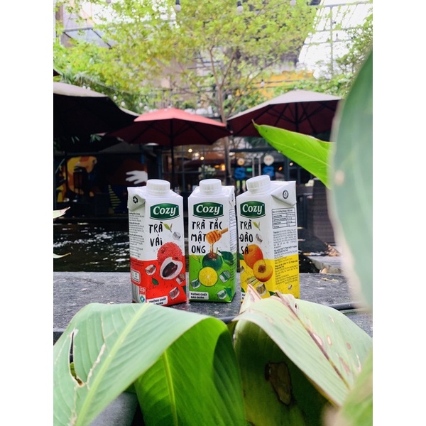 TRÀ COZY TRÁI CÂY 3 VỊ | BigBuy360 - bigbuy360.vn