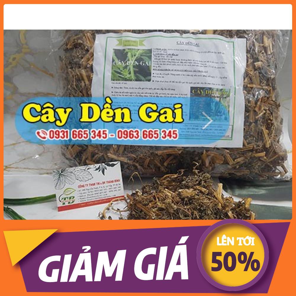 Cây Dền Gai Khô 500gr - Thảo Dược Thanh Bình