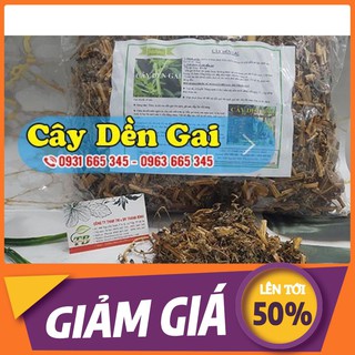Cây Dền Gai Khô 500gr  - Thảo Dược Thanh Bình