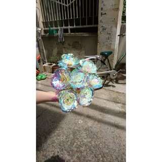 Hoa hồng Hologram (có sẵn, có mẫu mới)