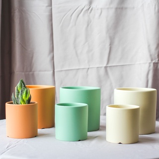 Chậu trồng cây cảnh mini để bàn