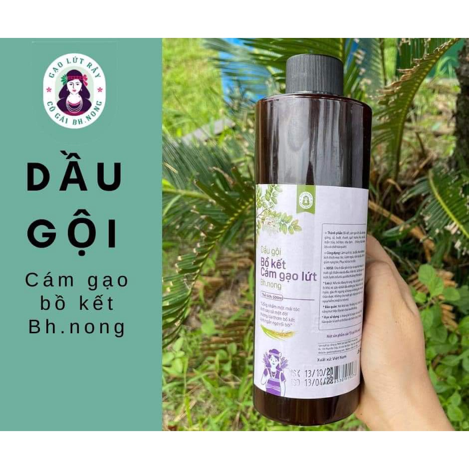 Dầu gội đầu bồ kết thảo dược Bhnong