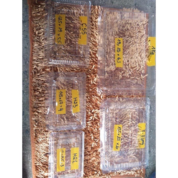 💥HOT💥LẺ 10 Hộp Nhựa dùng 1 lần đựng thực phẩm đủ cỡ- ẢNH THẬT