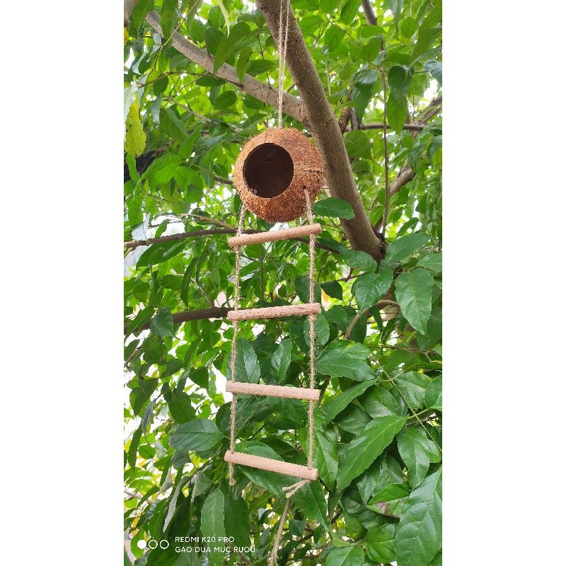 TỔ CHIM GÁO DỪA 4 THANG - TỔ TREO NUÔI SÓC