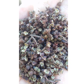 HẠT MẮC KHÉN SƠN LA - 500GR