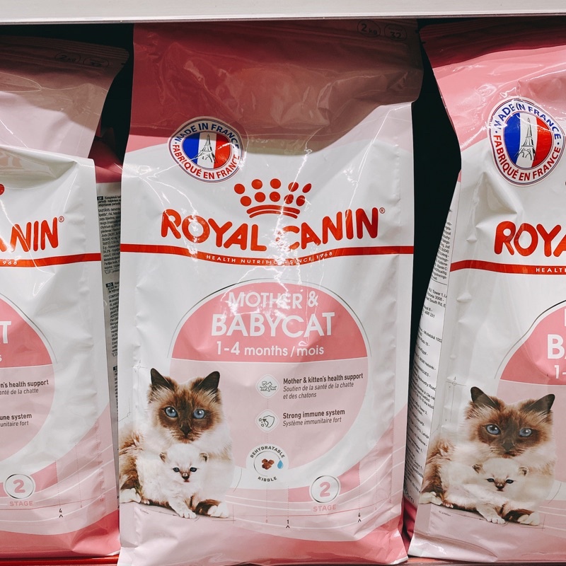 Thức ăn Royal Canin Kitten cho mèo con
