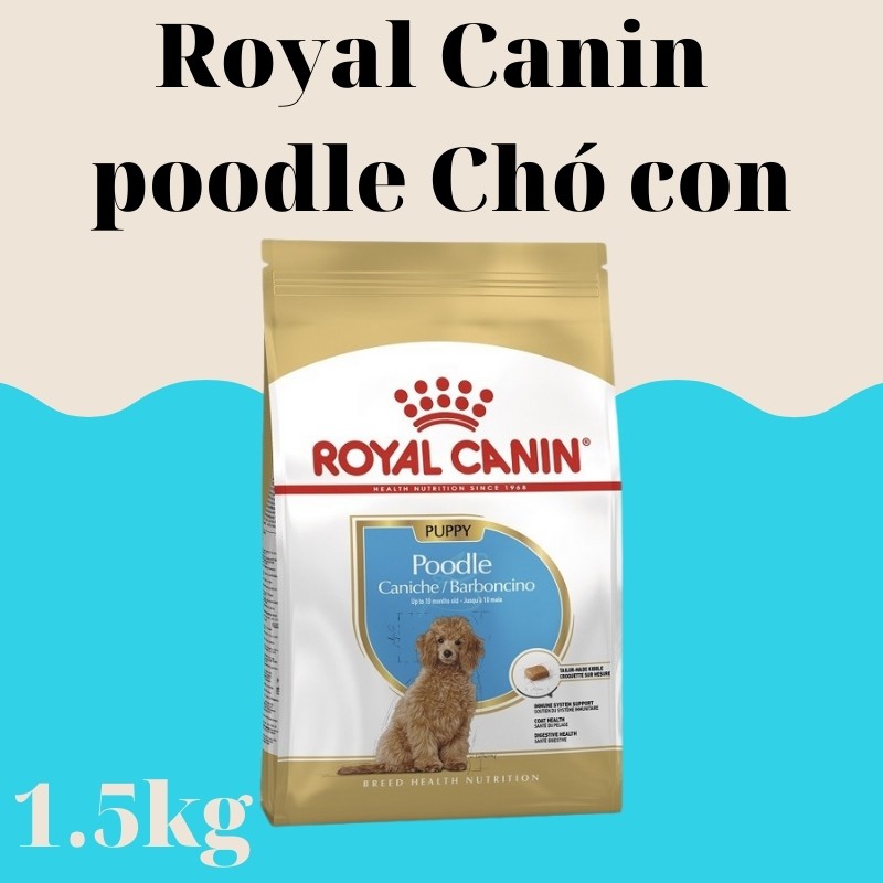 ROYAL CANNIN hạt cao câp dành riêng cho poodle túi 1,5kg