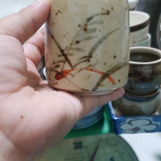Ly gốm sứ nhật trồng sen đá