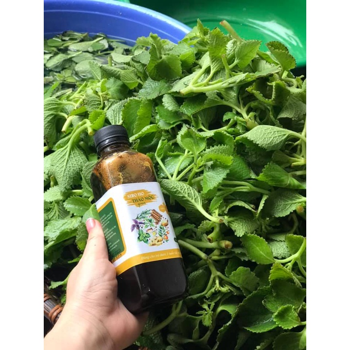 Siro Ho Húng Chanh GreenLab Giảm Ho Khan Ho Có Đờm Bổ Phế