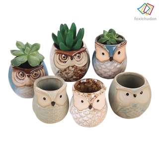 Set 6 Chậu Cây Bằng Gốm Hình Chim Cú Dễ Thương