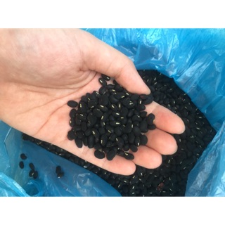 Đỗ đen xanh lòng