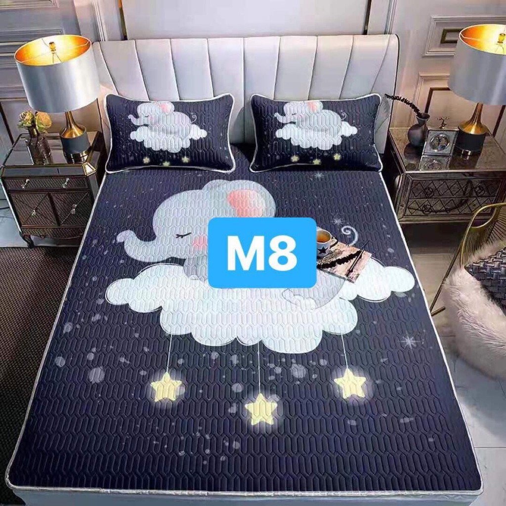 CHIẾU ĐIỀU HOÀ CAO SU NON IN HÌNH 5D SIÊU ĐẸP SIÊU MÁT | BigBuy360 - bigbuy360.vn