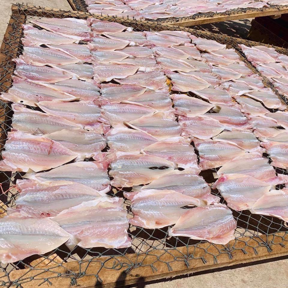 CÁ ĐÙ XẺ CỒ 1 NẮNG VIP