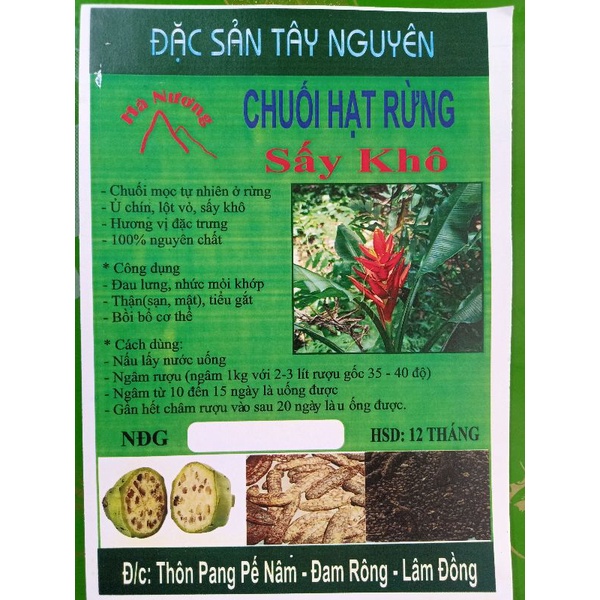 Chuối hột rừng Tây Nguyên**HÀ NƯƠNG**