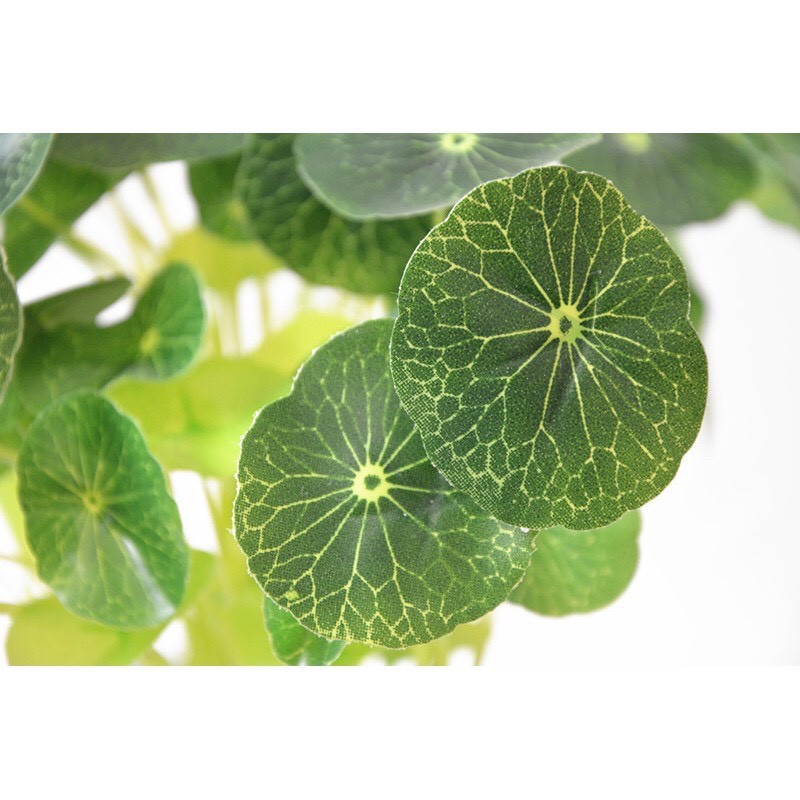 CAY GIA (phụ kiện chụp ảnh) - CÂY RAU MÁ - CỎ 4 LÁ NHẬT LÁ TRÒN TO