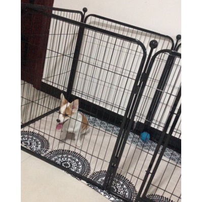 Hàng Rào Quây Chó Sơn Tĩnh Điện Chống Gỉ Sét 6T Kích Thước 70x80cm