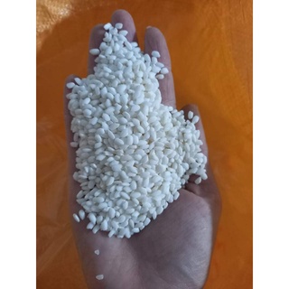 Đặc sản gạo nếp Thàu Dầu (Hải Hậu Nam Định)