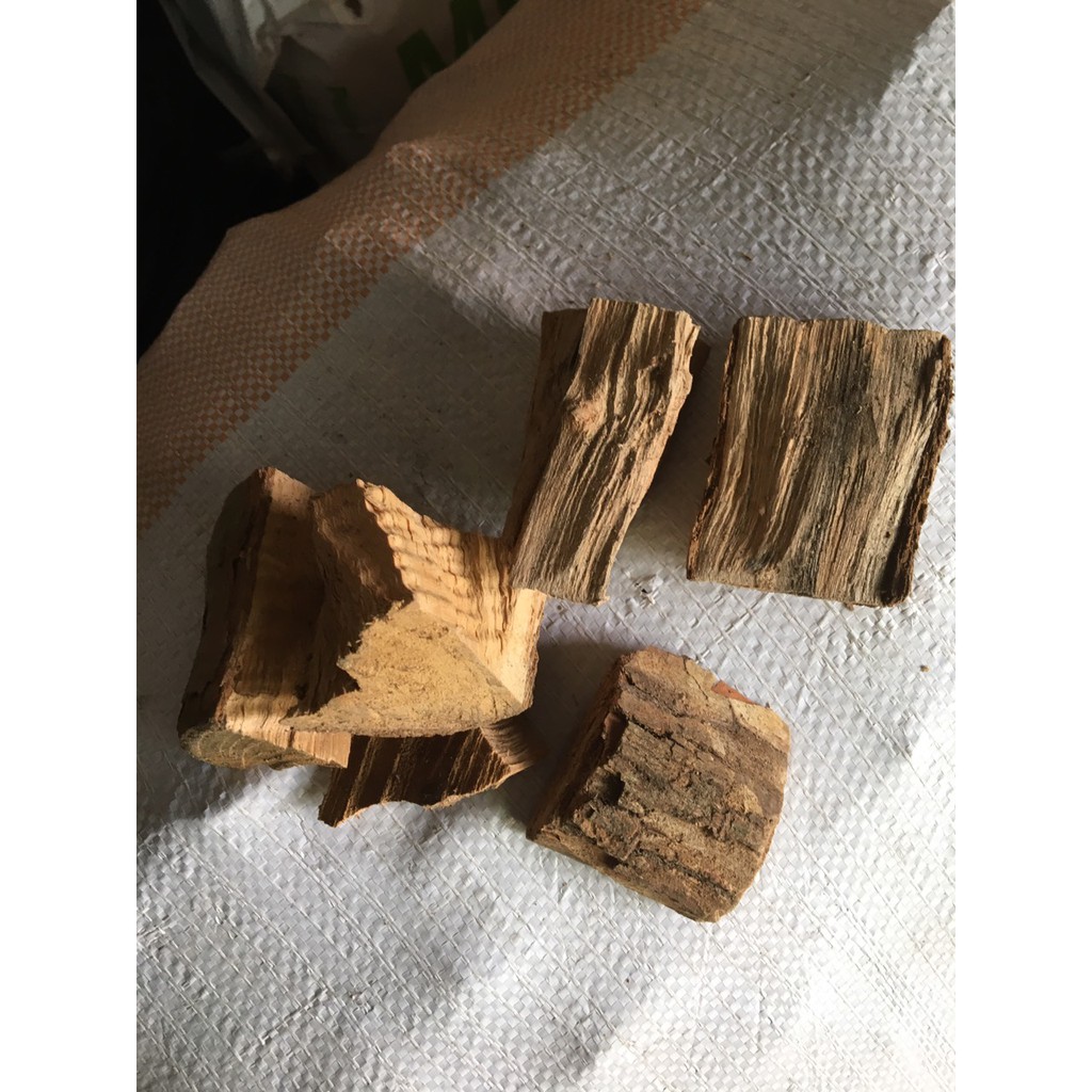 1kg Gỗ sữa cắt khúc trồng lan