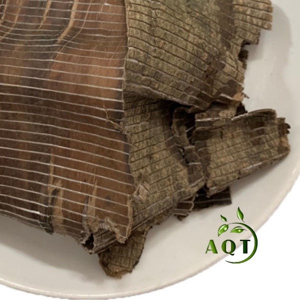 1kg Đỗ Trọng (Sạch, Đẹp) Bổ Thận Tráng Dương, Mạnh Gân Cốt