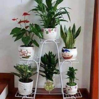 Kệ để chậu hoa 6 tầng 195k