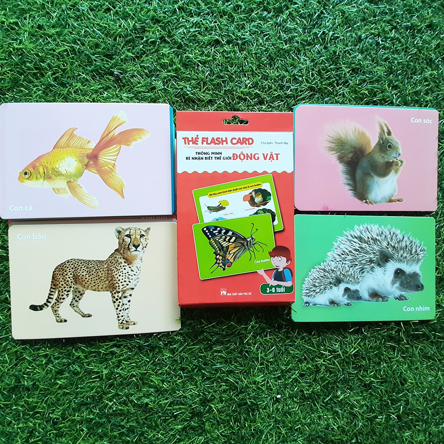 Sách - Thẻ Flash thông minh bé nhận biết thế giới động vật - 11 x 16 cm, In 2 Mặt Dành Cho Bé Từ 3 - 6 Tuổi (30 Thẻ)