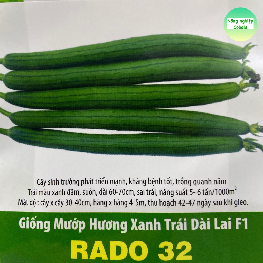 Hạt Giống Mướp Hương Xanh Trái Dài (RADO32) 1gr