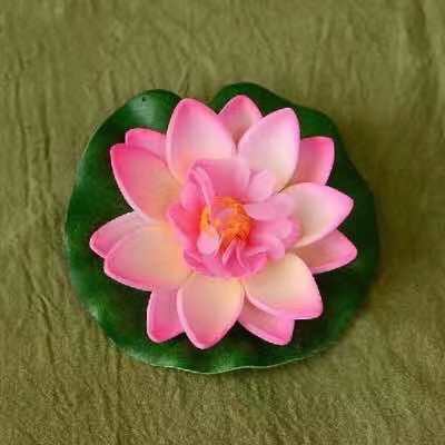 Hoa sen hoa sen