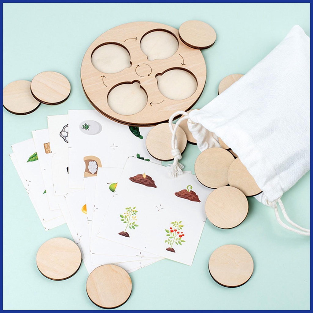 Bộ Đồ Chơi Xếp Hình Vòng Đời Của Đời Sống Bằng Gỗ Kèm Năm Ngăn Dành Cho Bé