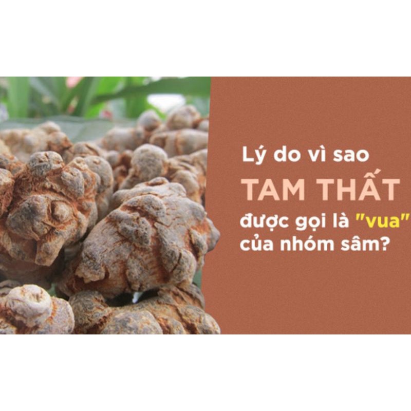 Củ Tam Thất Khô