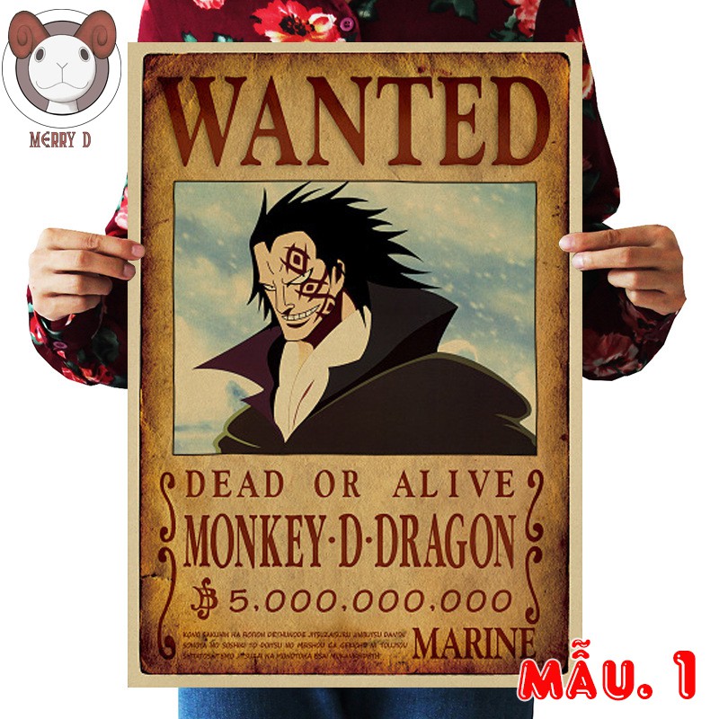 Poster 51x36cm One Piece Tổng Hợp Vintage - Hình Vua Hải Tặc - Dragon, Marco, Ace, Sabo, Enel, Roger,...