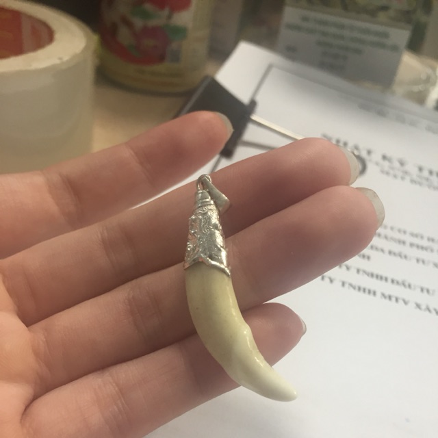 Nanh sói bọc bạc