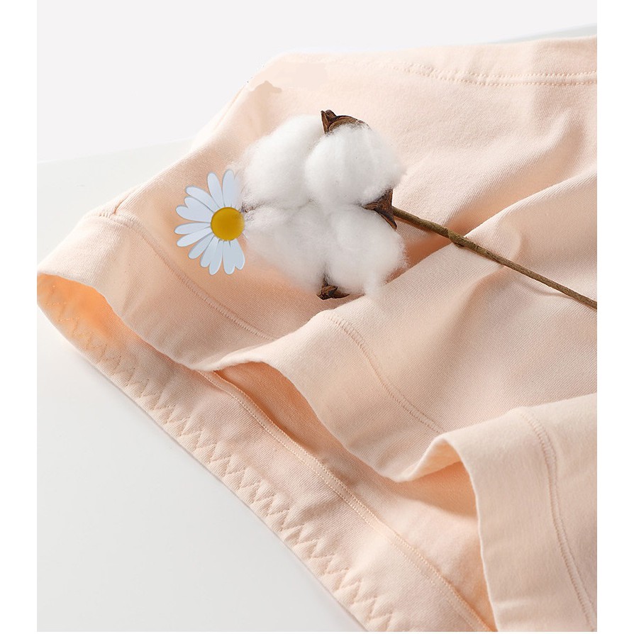Quần lót nữ cotton cạp thấp Daisy Boxer kháng khuẩn co dãn thấm hút_NuciFera