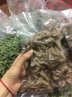 Tam thất bắc tươi Bổ máu, giúp bồi bổ cơ thể, hỗ trợ giảm phát triển khối u