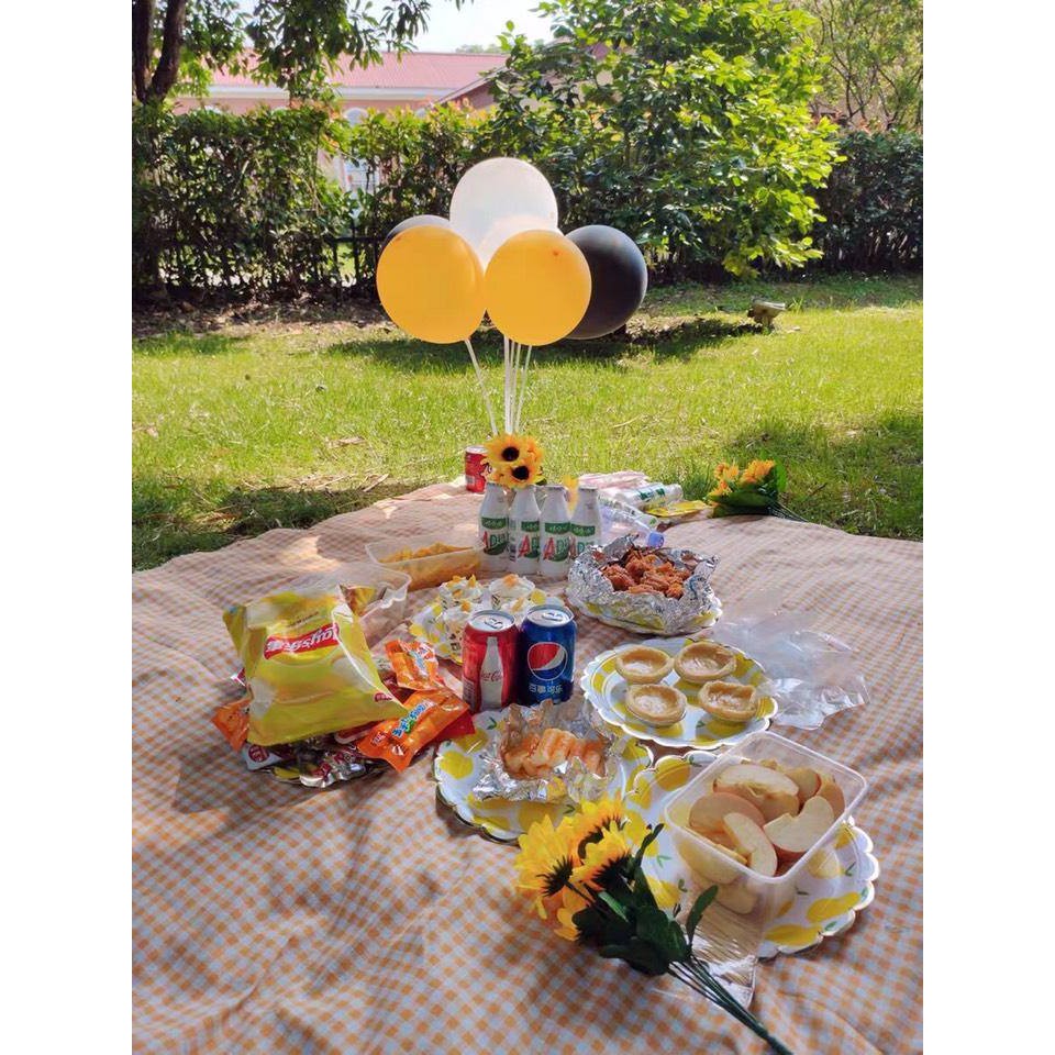 Thảm picnic 1m5x1m5