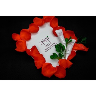 Tế Bào Gốc ZNSP II. Hàn Quốc